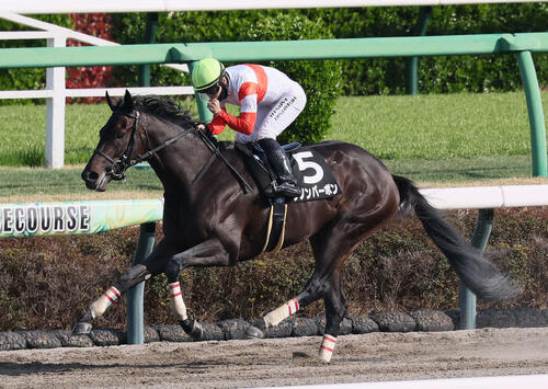 ケンタッキーダービー】「ラッキー7」「めちゃくちゃ希望していた枠