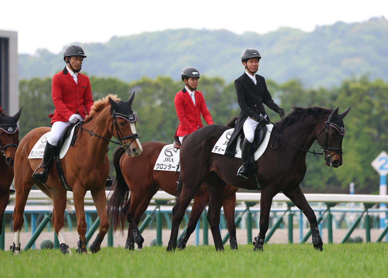 マイラーズCで誘導馬を務めるディープボンドに騎乗する和田竜二騎手