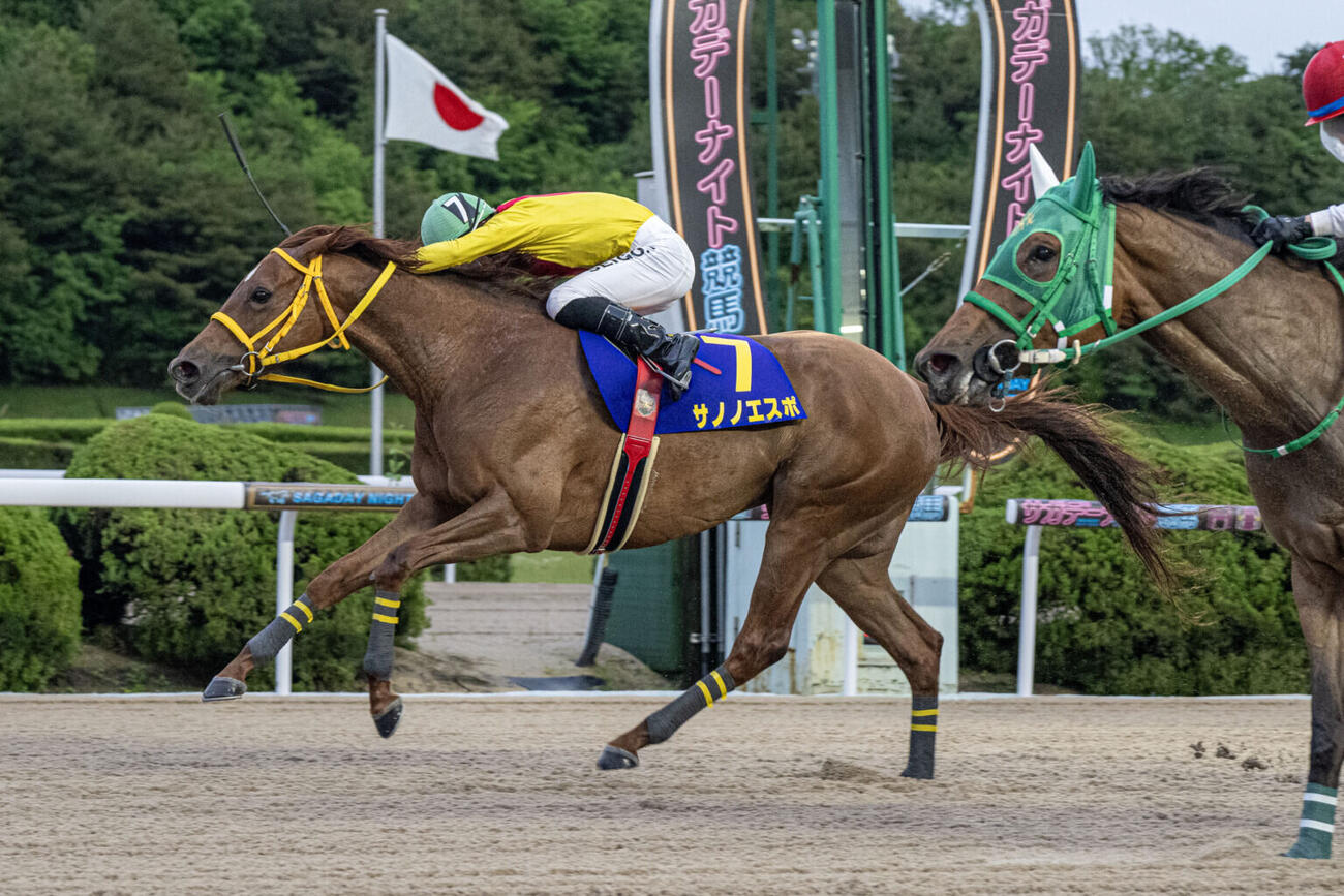 佐賀ヴィーナスCを制したサノノエスポ（佐賀県競馬組合）