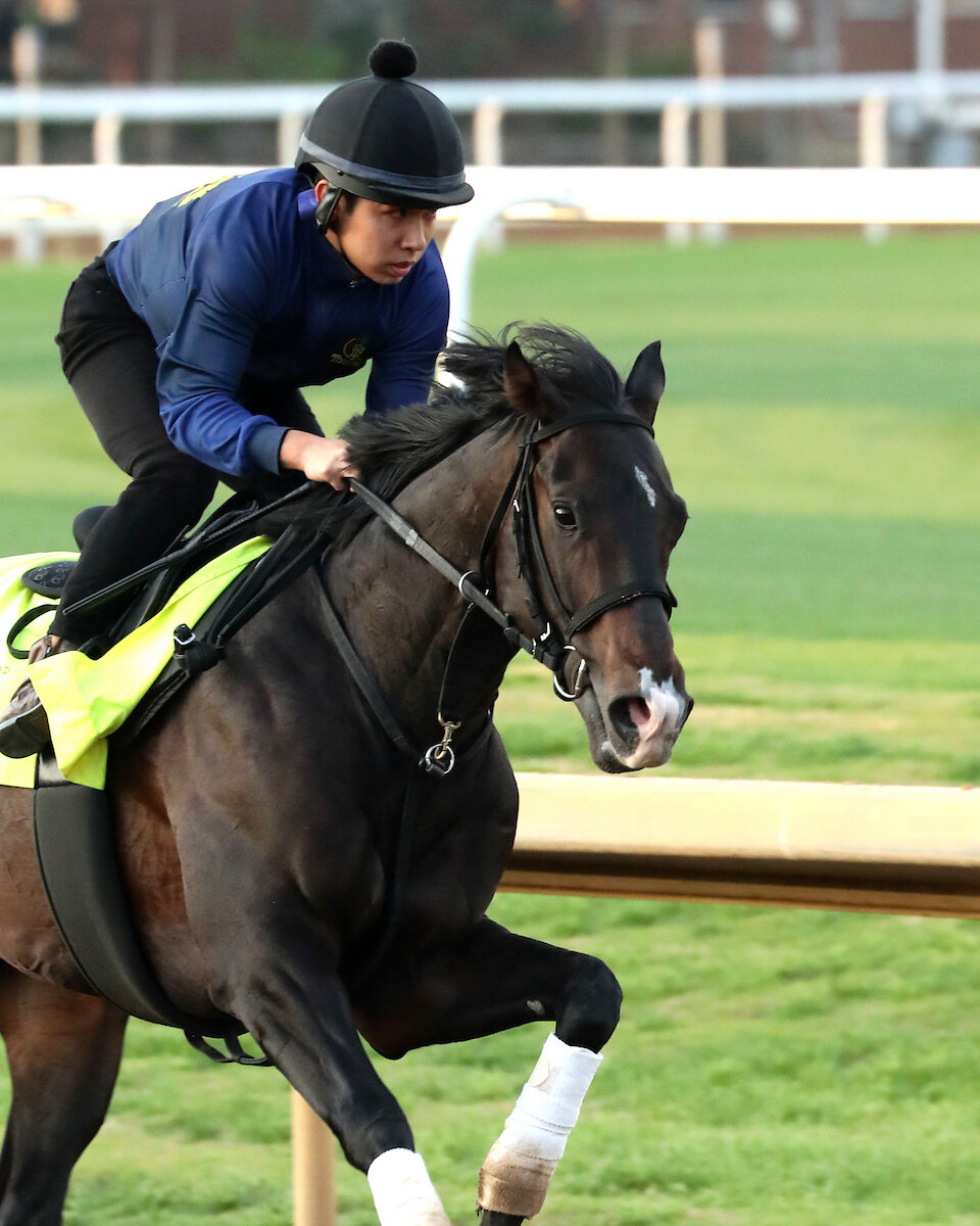 チャーチルダウンズ競馬場で調整するワンダーディーン（C）COADY MEDIA