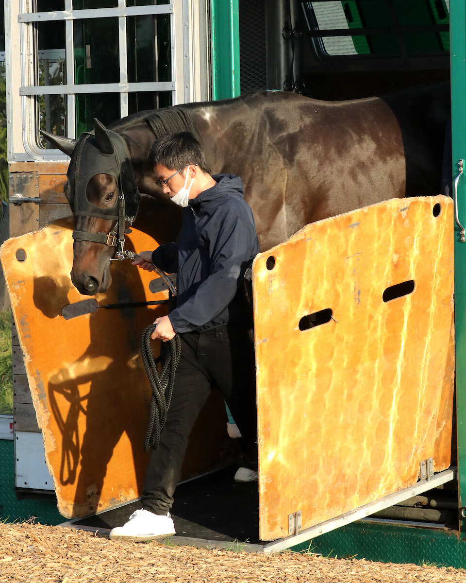 チャーチルダウンズ競馬場で調整するダノンバーボン（C）COADY MEDIA
