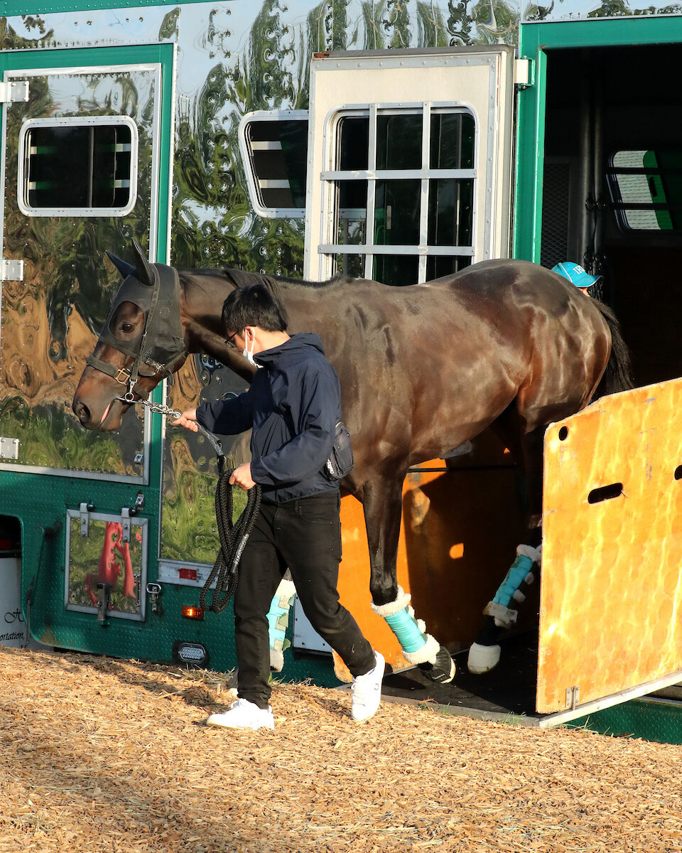 チャーチルダウンズ競馬場で調整するダノンバーボン（C）COADY MEDIA