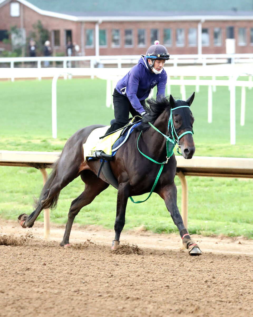 チャーチルダウンズ競馬場で調整するダノンバーボン（C）COADY MEDIA