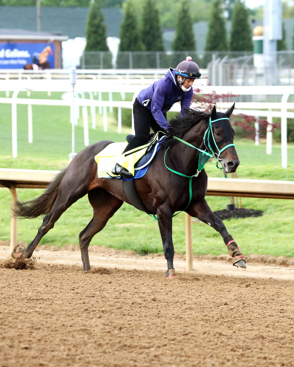 チャーチルダウンズ競馬場で調整するダノンバーボン（C）COADY MEDIA