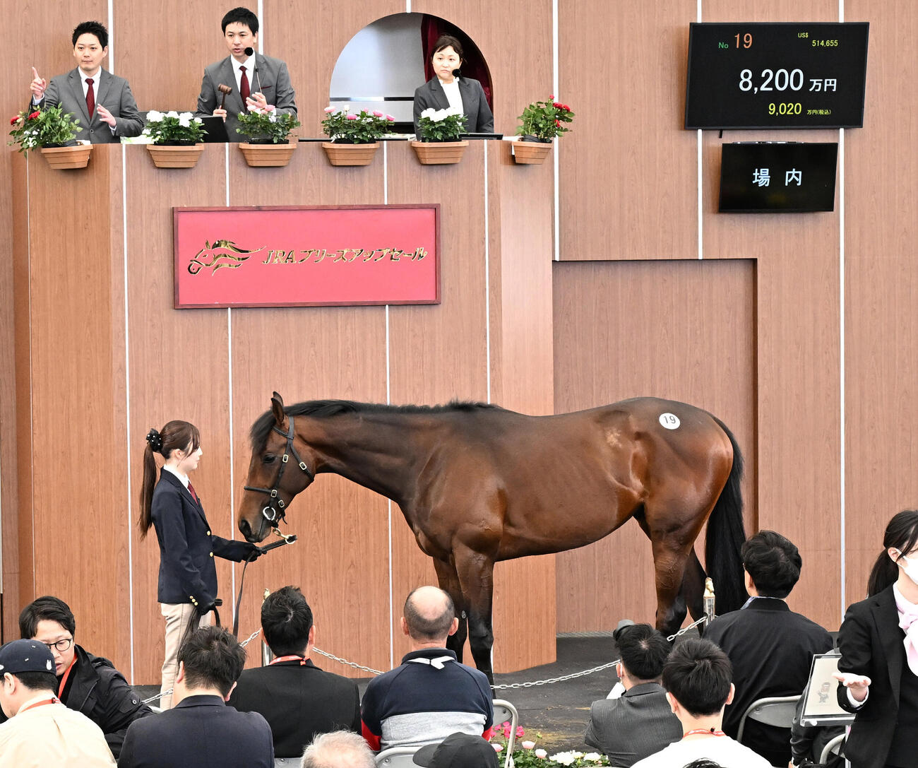 ブリーズアップセールで8200万円で競り落とされたウインアルエットの2024