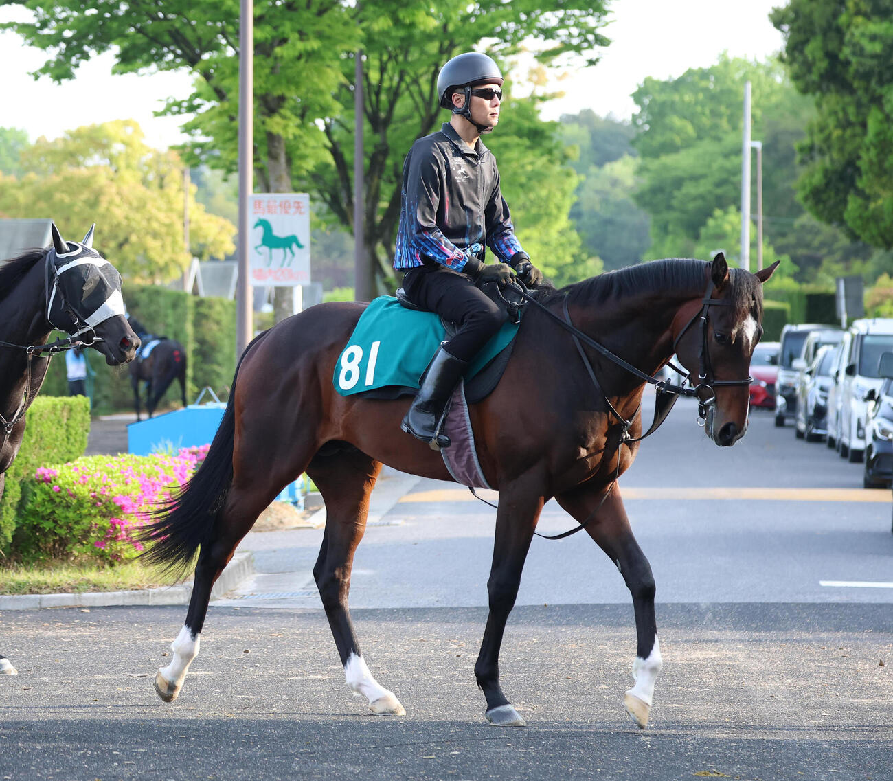 厩舎周りで運動するエルドボルグ（撮影・白石智彦）