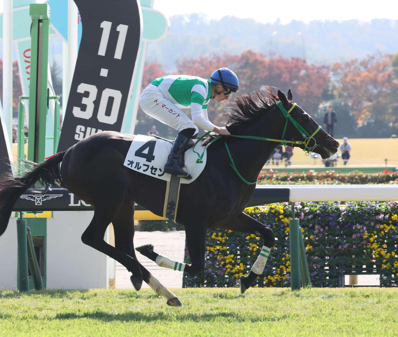 25年11月15日東京4Rの2歳未勝利戦を制したオルフセン