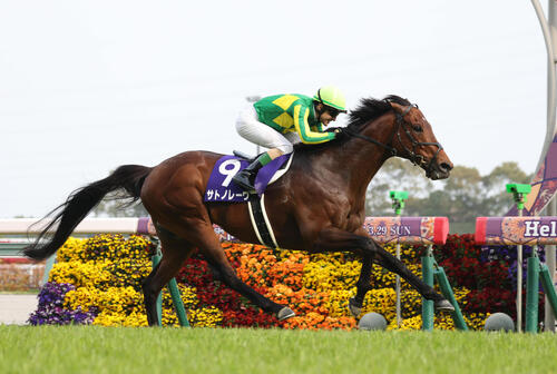 サトノレーヴ＆ルガルが英G1のQE2世ジュビリーSに登録、アスコット競馬