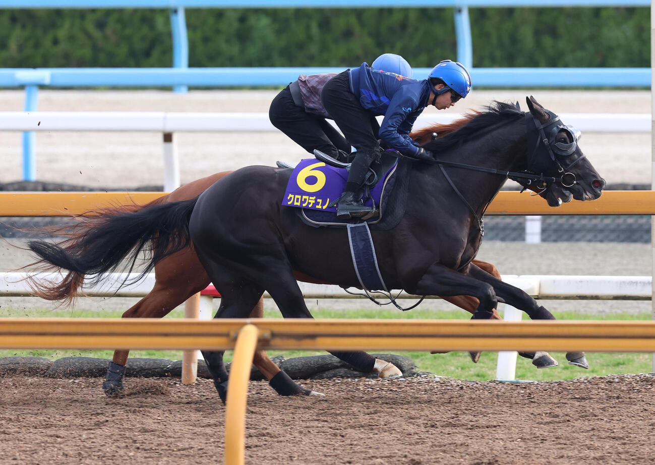 団野大成騎手を背にCウッドを併せ馬で追い切るクロワデュノール（手前）（撮影・白石智彦）