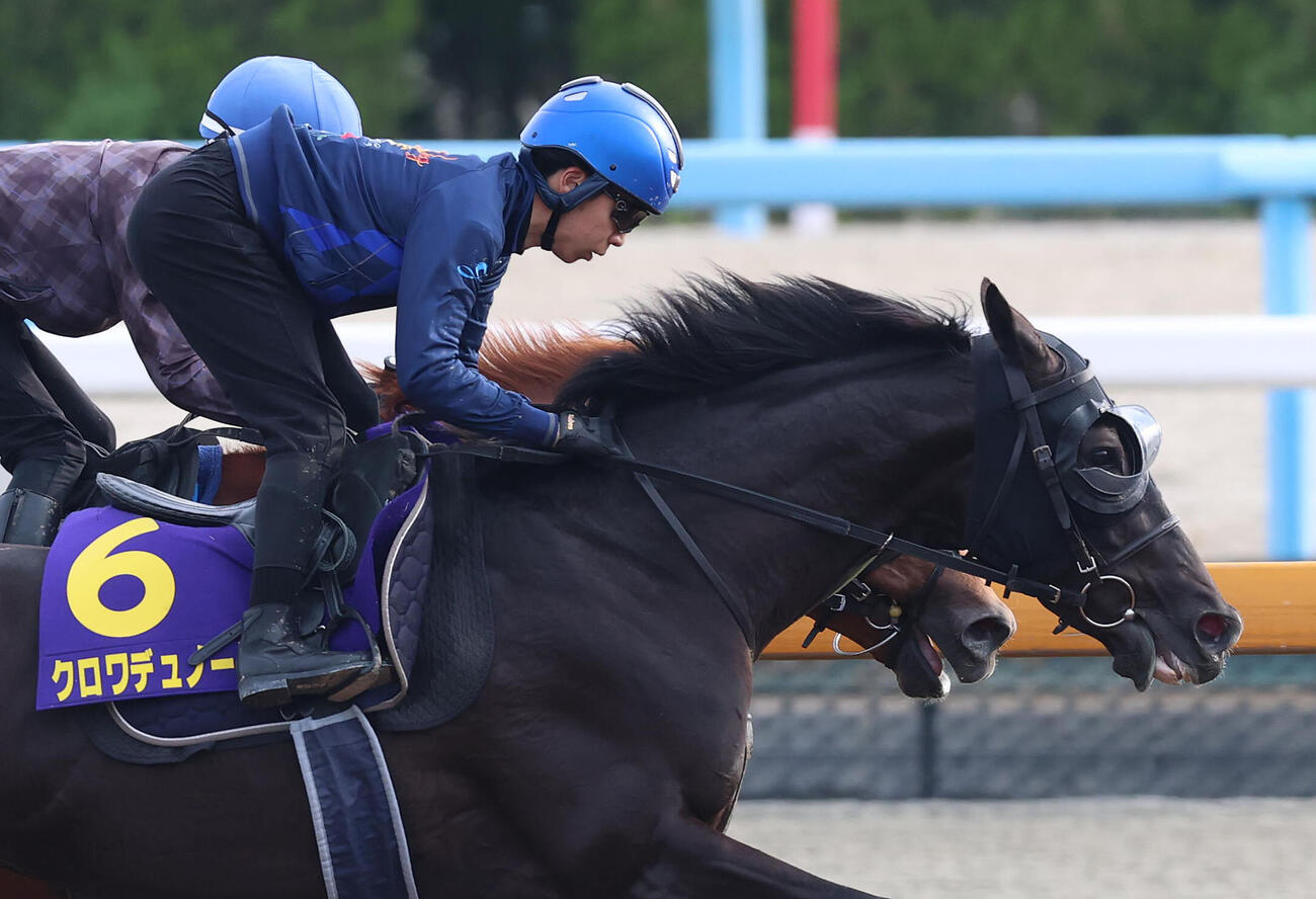 団野騎手を背にCウッドを併せ馬で追い切るクロワデュノール（撮影・白石智彦）