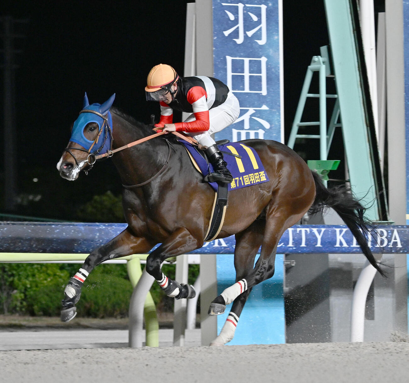 羽田盃を制したフィンガーと戸崎圭太騎手（撮影・千葉一成）