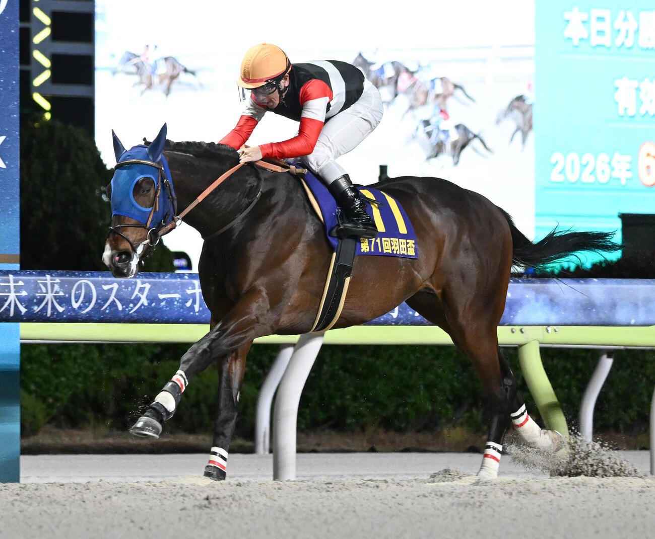 羽田盃を制したフィンガーと戸崎圭太騎手（撮影・千葉一成）