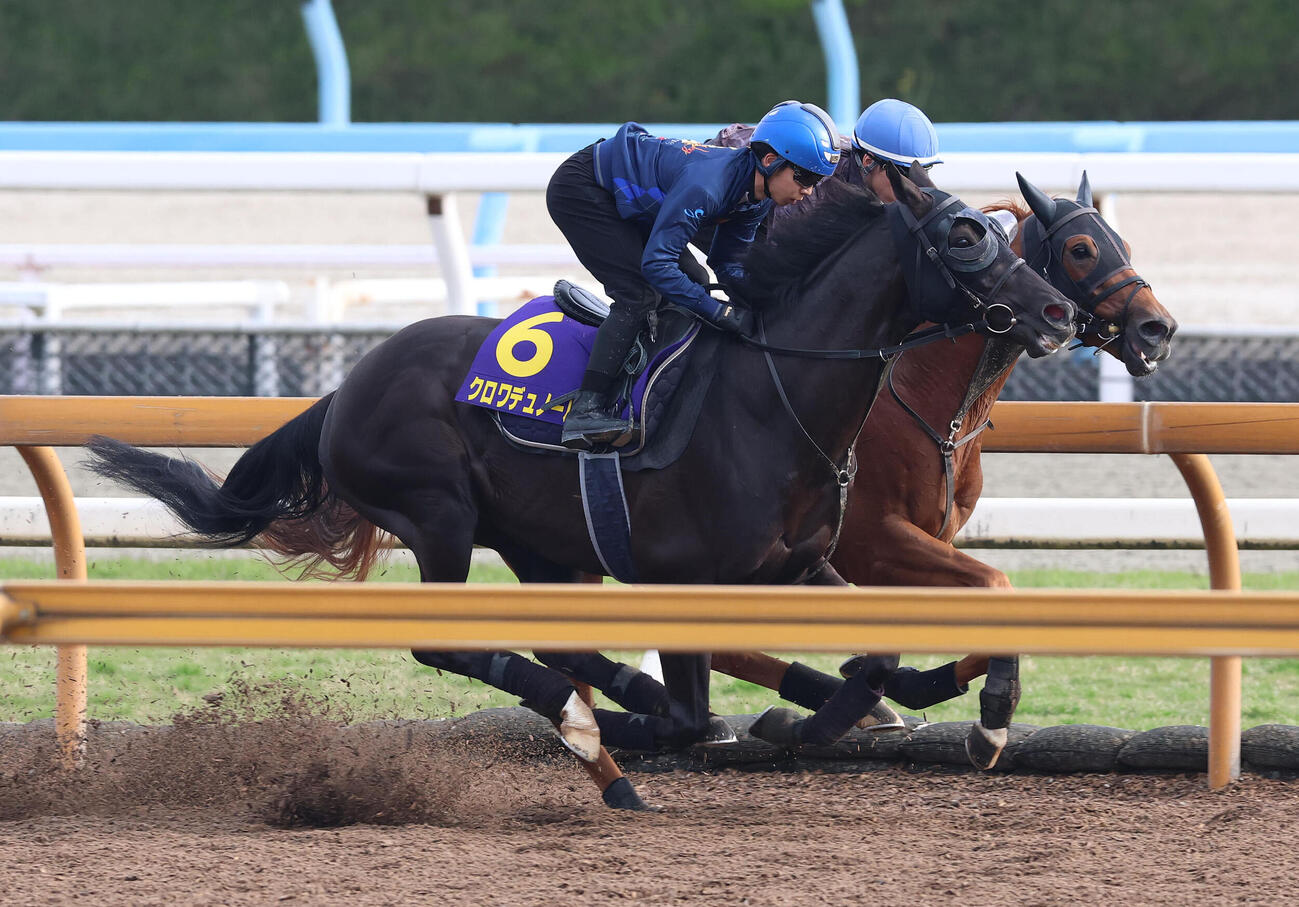 団野大成騎手を背にCウッドを併せ馬で追い切るクロワデュノール（手前）（撮影・白石智彦）