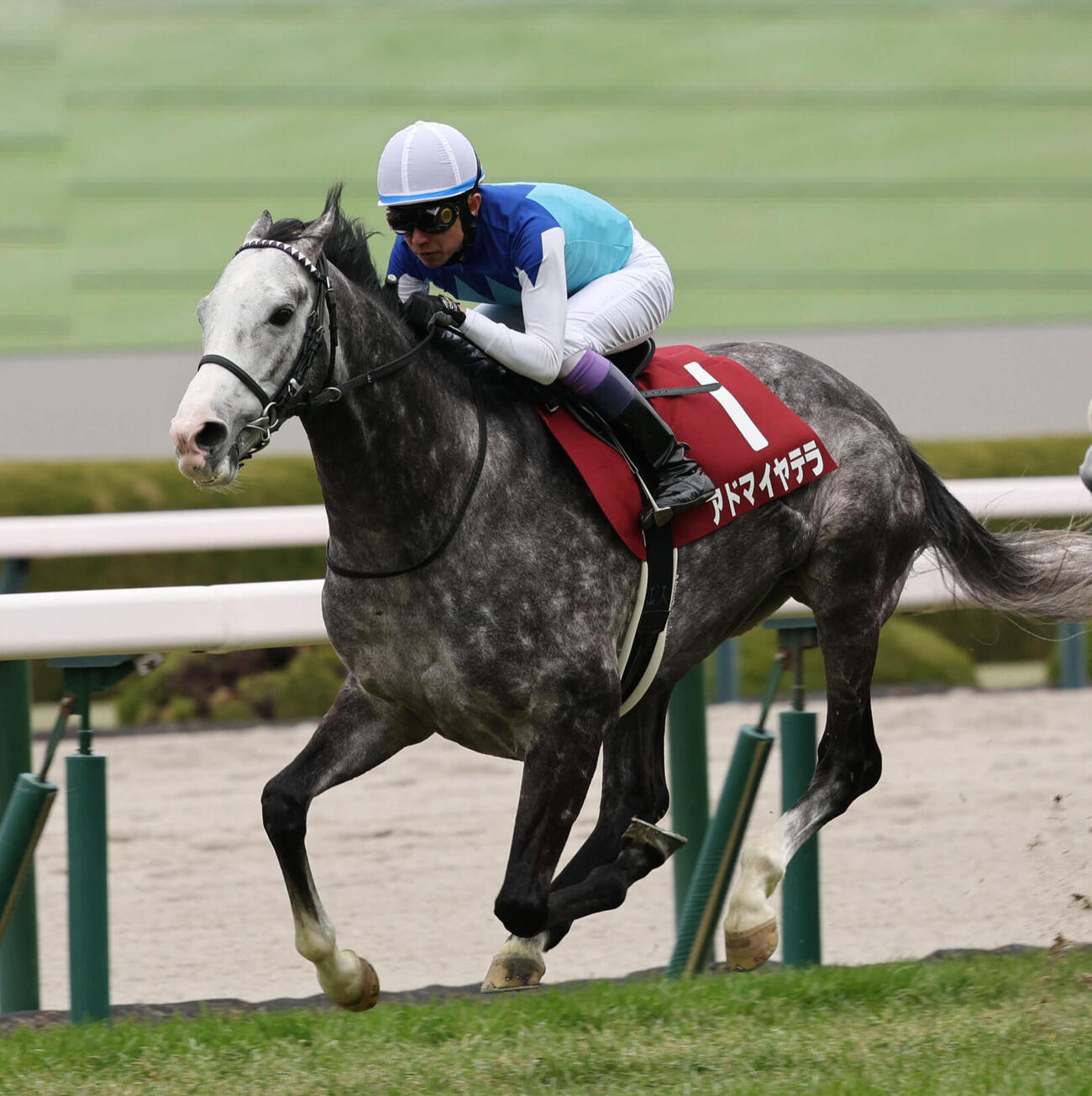 3月、阪神大賞典で武豊騎手のアドマイヤテラが直線で他馬を引き離し優勝