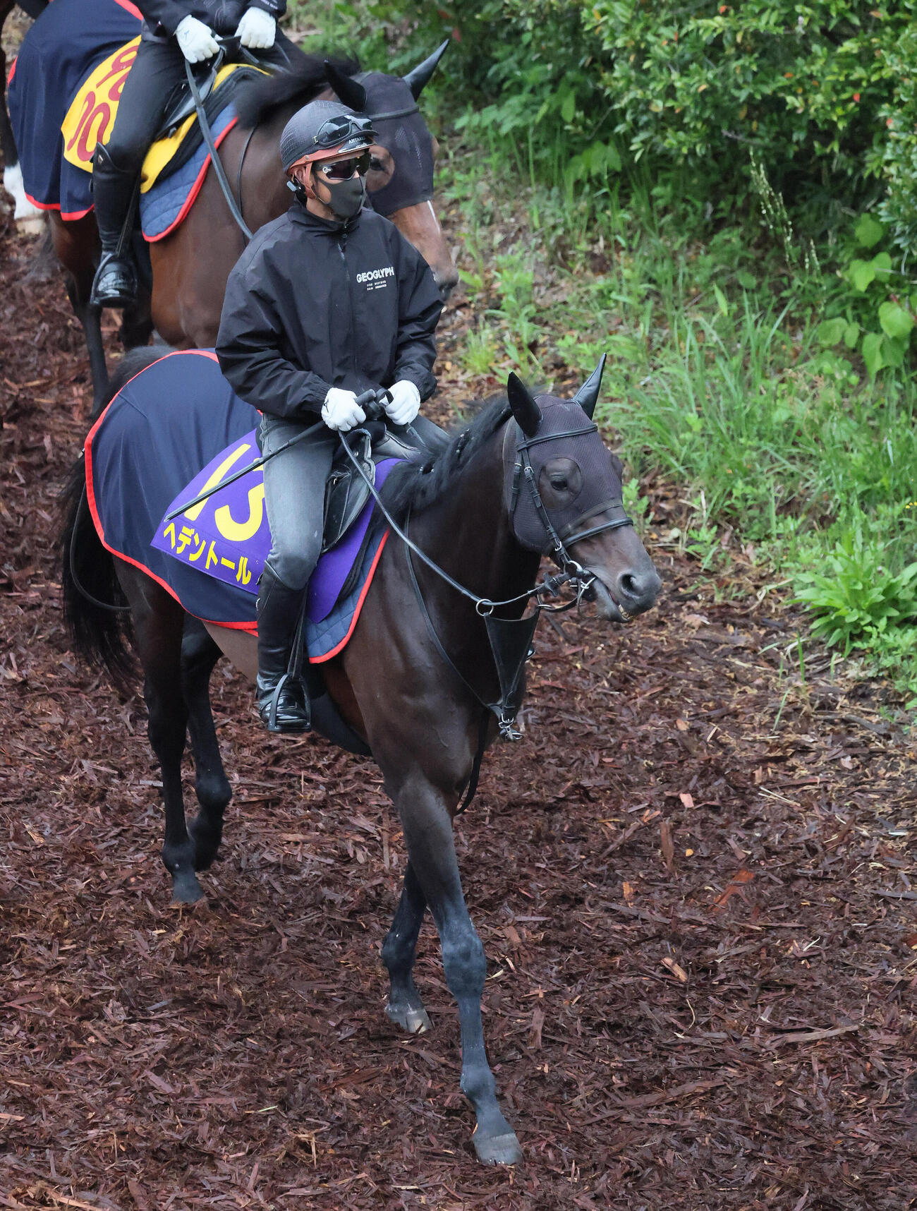 逍遥馬道で調整するヘデントール（撮影・丹羽敏通）