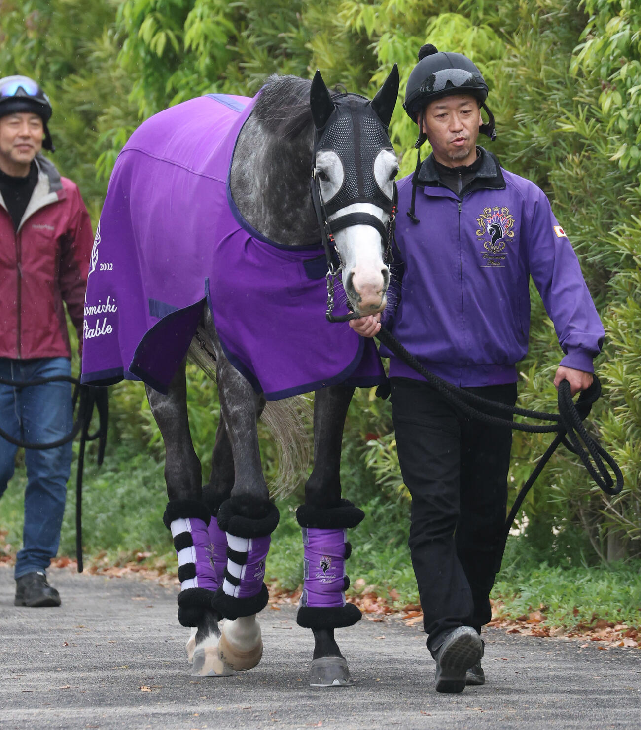 厩舎周りで運動するアドマイヤテラ