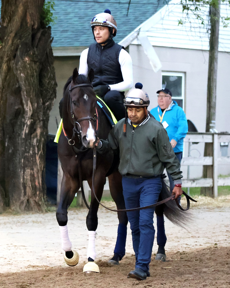 ケンタッキーダービー出走が決まったオシェリ（C）COADY MEDIA