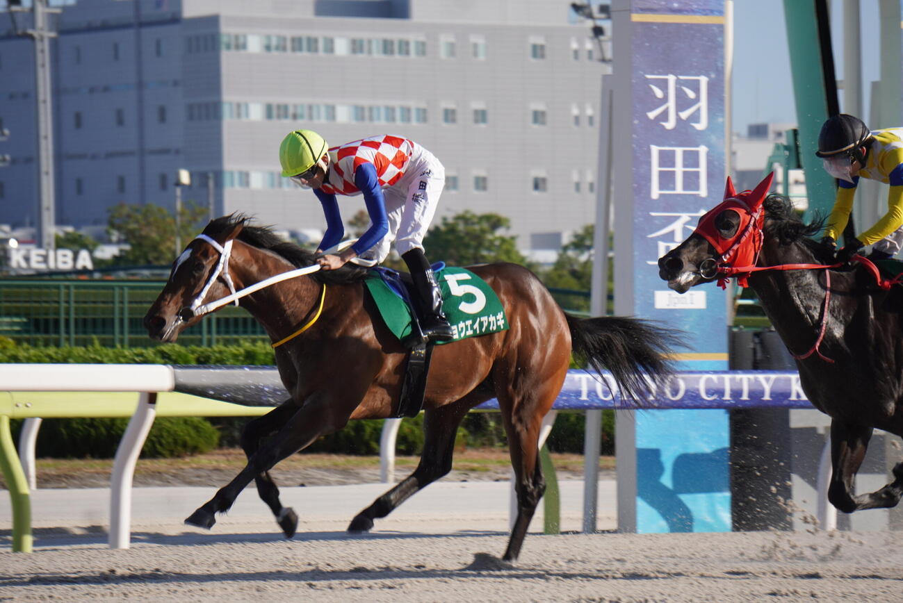 2歳新馬を制したキョウエイアカギと藤田凌騎手