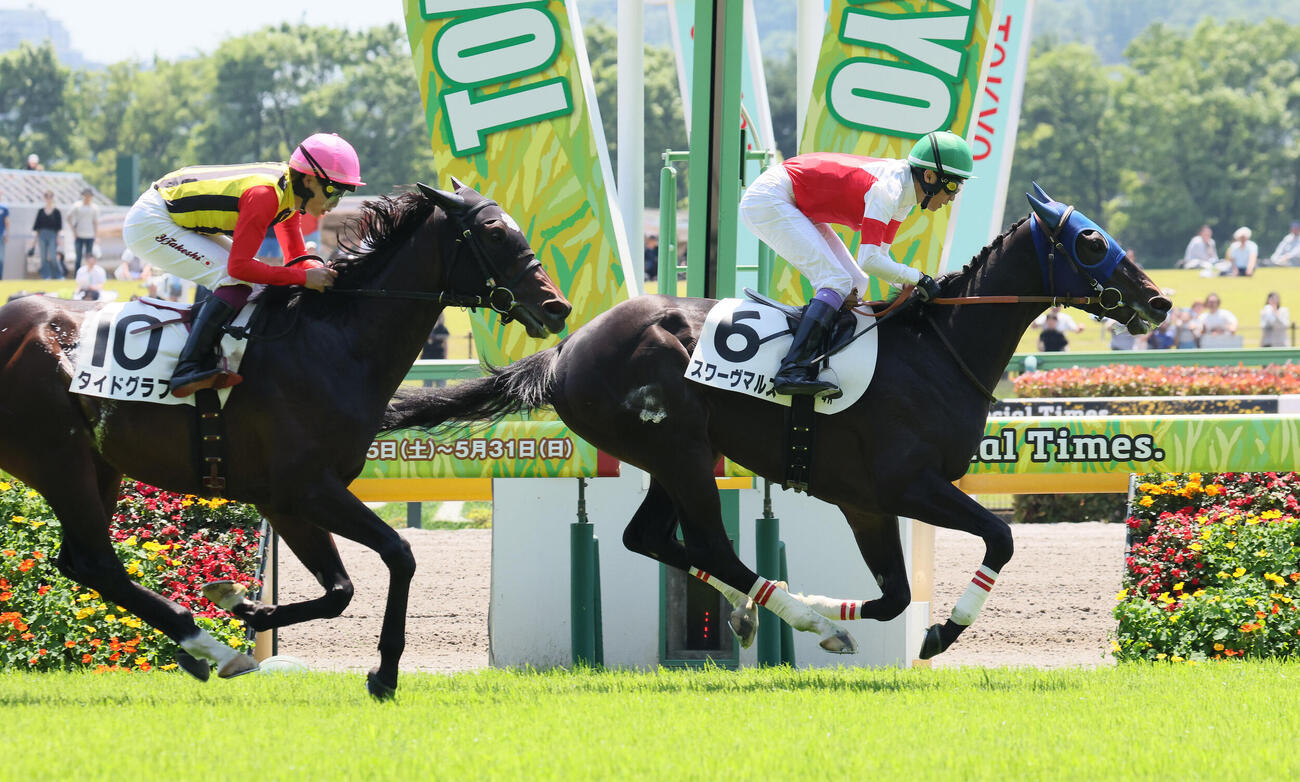 東京4R、3歳未勝利戦を制したスワーヴマルスと武豊騎手（撮影・丹羽敏通）