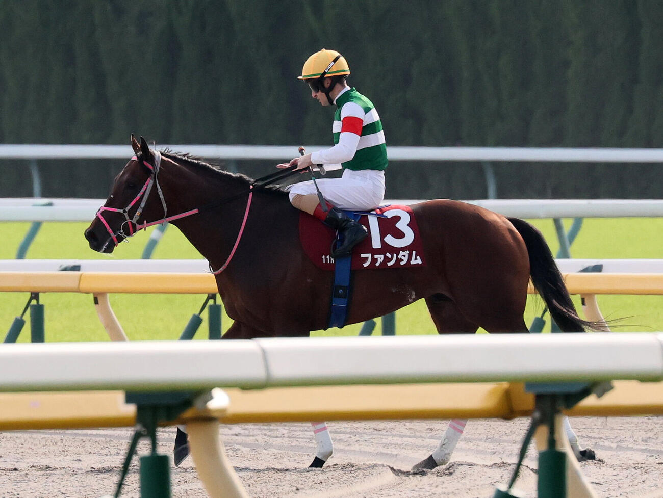 京王杯SCで1番人気に応えられず8着に敗れたファンダムとC・ルメール騎手（撮影・丹羽敏通）