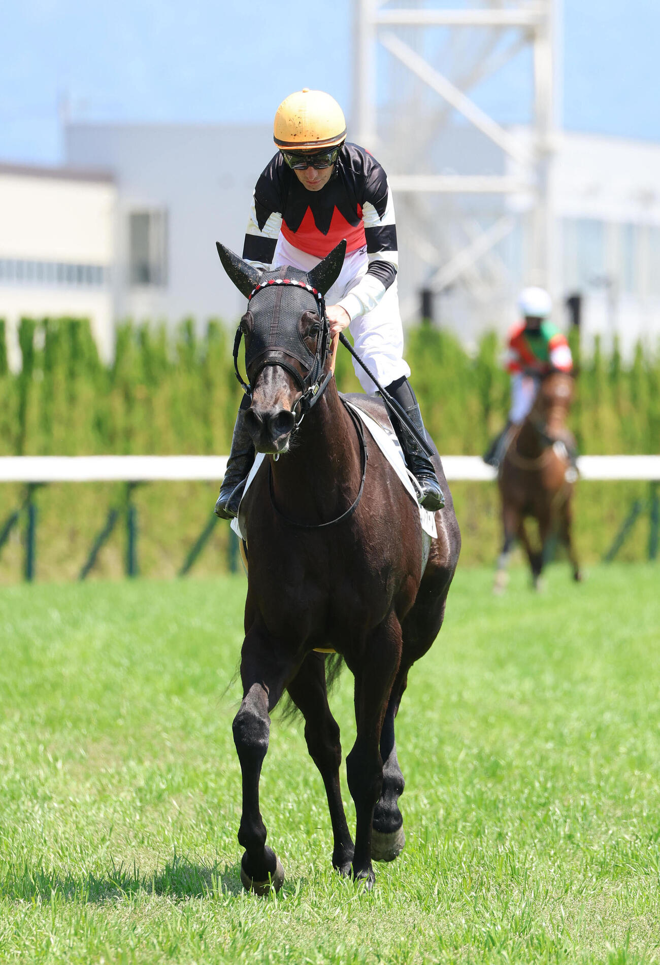 京都3R、ルナフィオーレに騎乗し9着に終わり引き揚げるミルコ・デムーロ騎手（撮影・白石智彦）