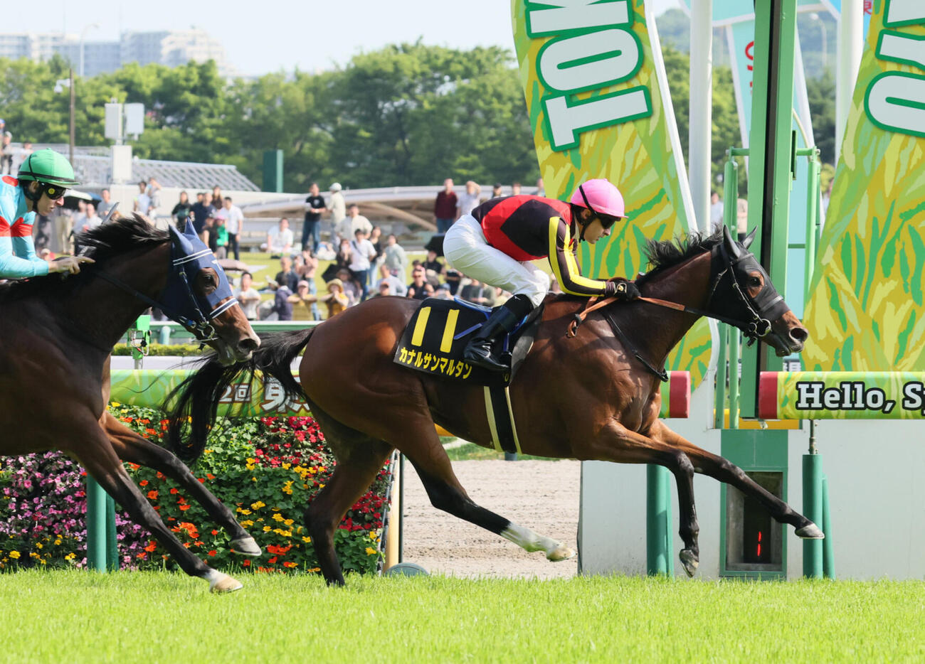 スイートピーSを制したカナルサンマルタンとC・ルメール騎手（右）（撮影・丹羽敏通）
