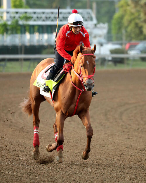 メジロファームさま専用　サンデーサイレンス　ケンタッキーダービー ケンタッキーダービーで日本馬史上初の3着を受けて「拝啓、世界の