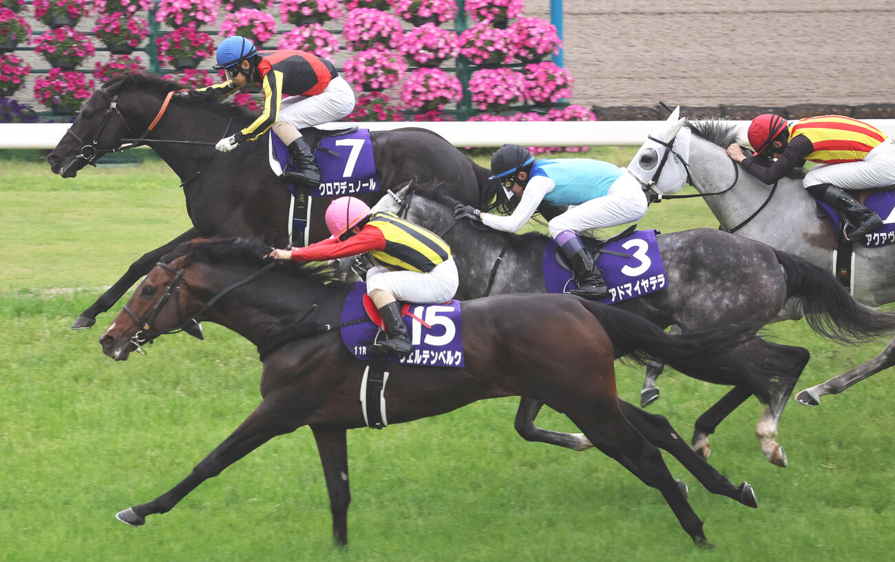 天皇賞・春を制したクロワデュノールと北村友一騎手（奥）。手前は2着ヴェルテンベルク（撮影・西尾就之）
