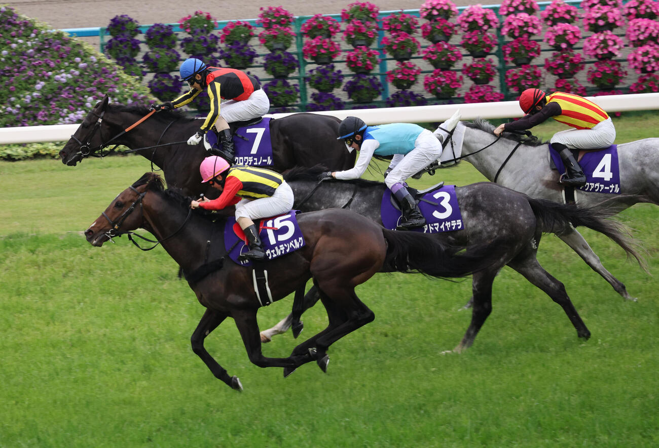 天皇賞・春を制したクロワデュノールと北村友一騎手。手前は2着ヴェルテンベルク（撮影・西尾就之）