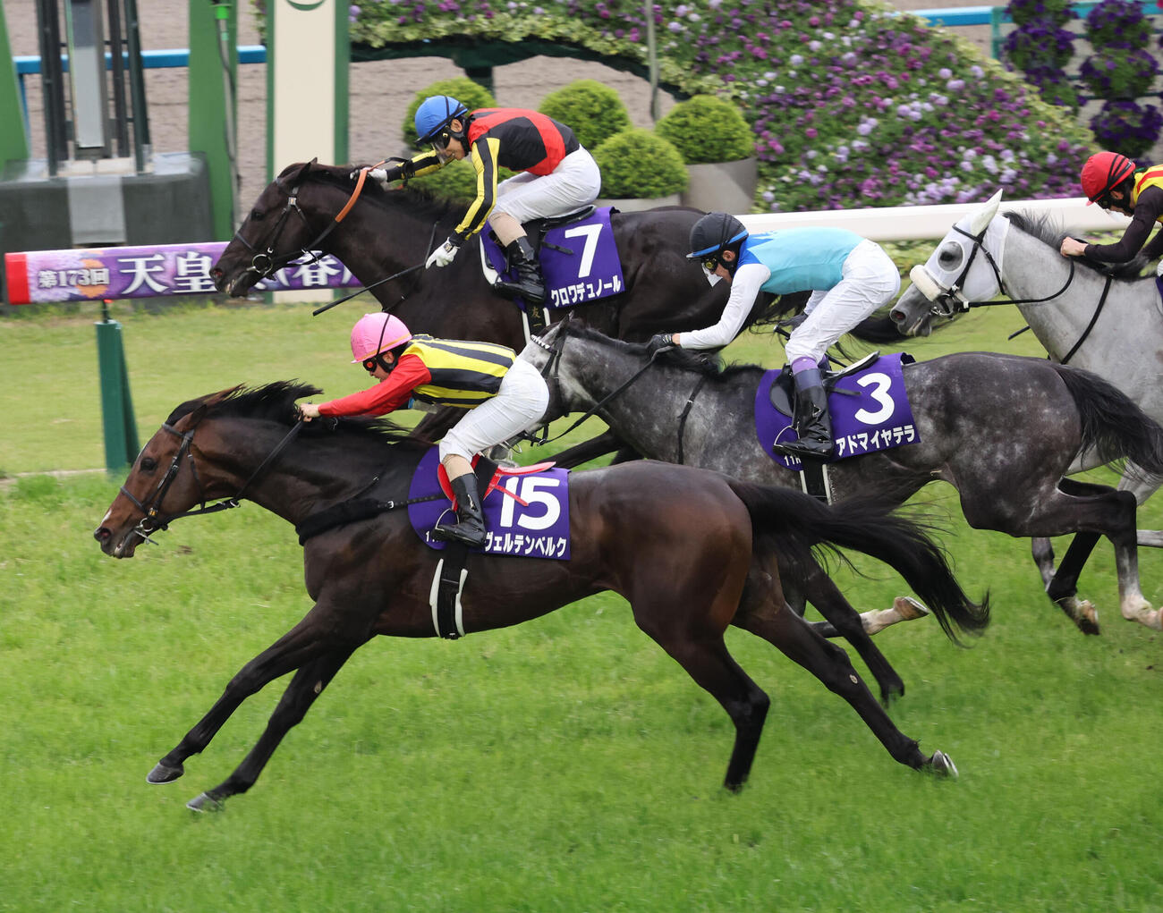 天皇賞・春を制したクロワデュノールと北村友一騎手（奥）。手前は2着ヴェルテンベルク（撮影・西尾就之）
