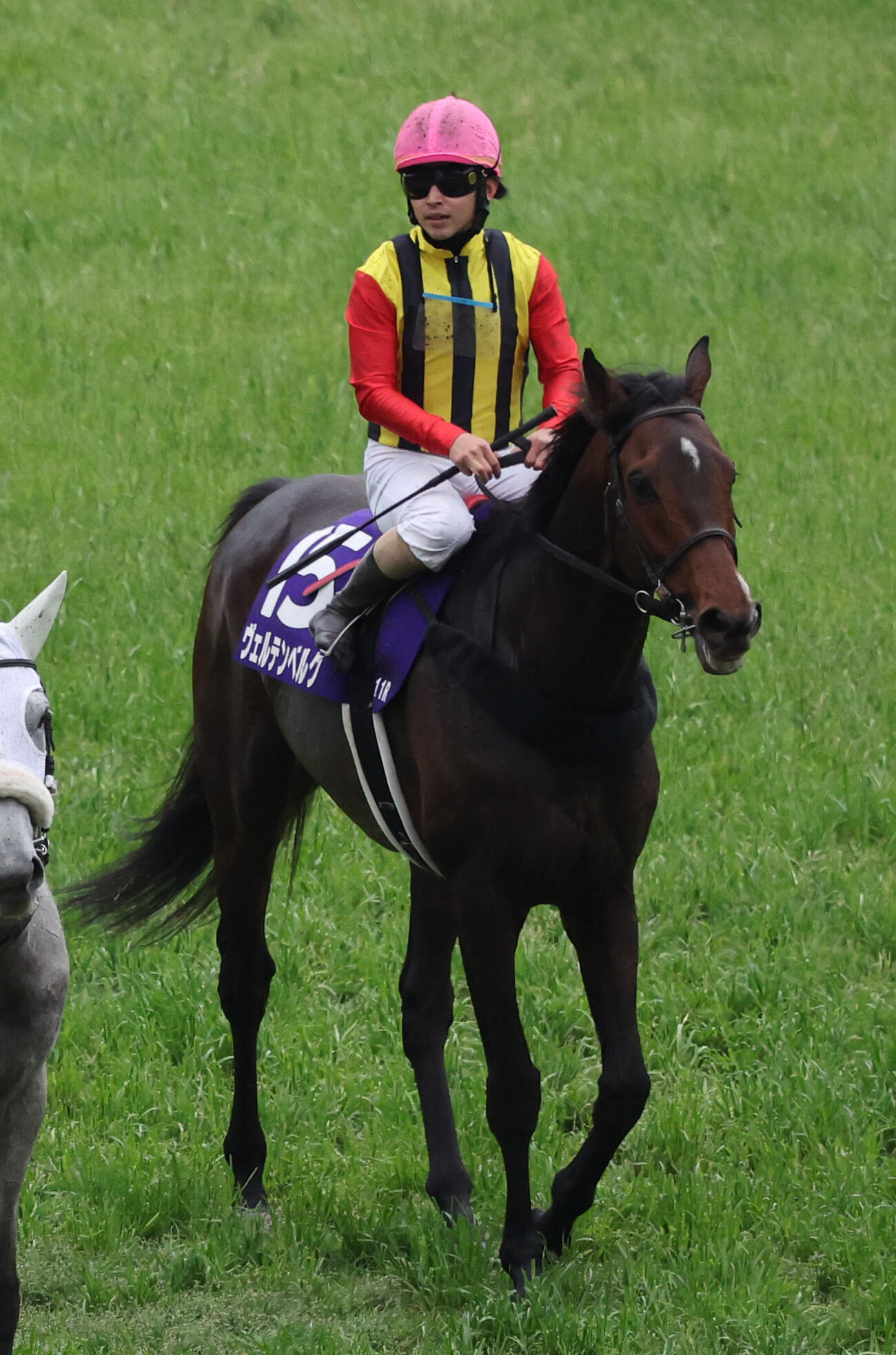 天皇賞・春で鼻差の2着に入ったヴェルテンベルクと松若風馬騎手（撮影・西尾就之）