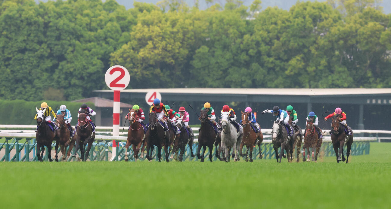 京都11R、直線抜け出して天皇賞・春を制したクロワデュノール（左から5頭目）（撮影・白石智彦）
