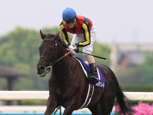 天皇賞・春】19年ディープ産駒以来の同種牡馬産駒ワンツー決着