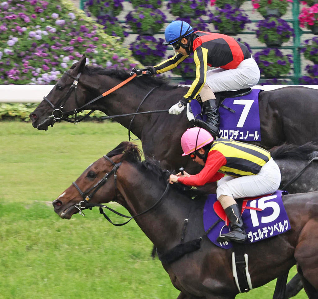 天皇賞・春を制したクロワデュノールと北村友一騎手。手前は2着ヴェルテンベルク（撮影・西尾就之）