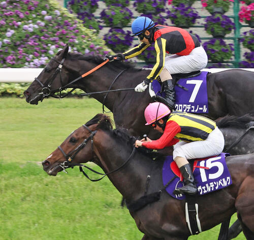 天皇賞・春】写真判定10分“推定2cm”差の明暗「3200m走って鼻の穴差