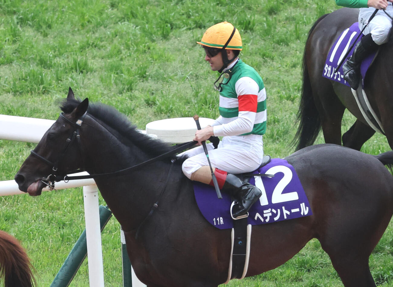 天皇賞・春5着に敗れたヘデントールとC・ルメール騎手（撮影・西尾就之）