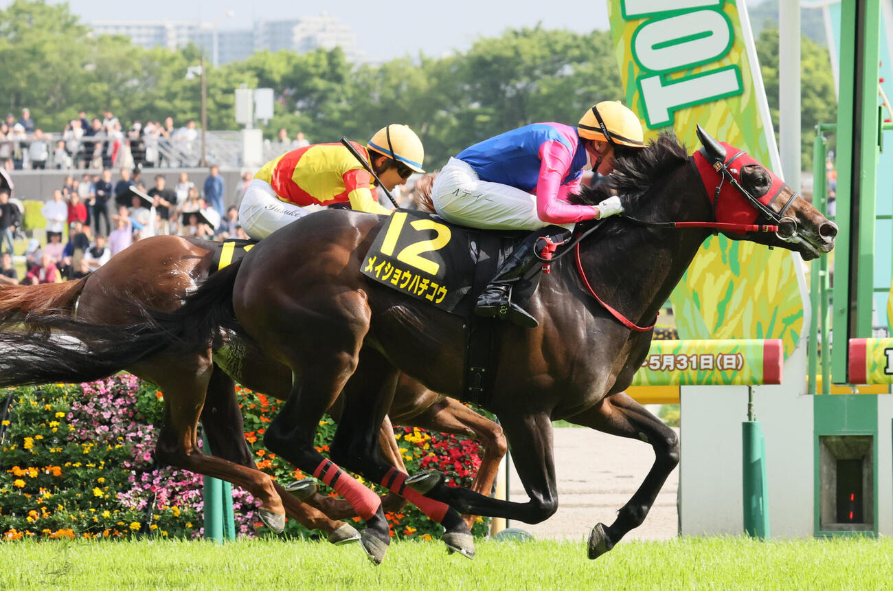 プリンシパルSを制したメイショウハチコウとディー騎手（手前）（撮影・丹羽敏通）