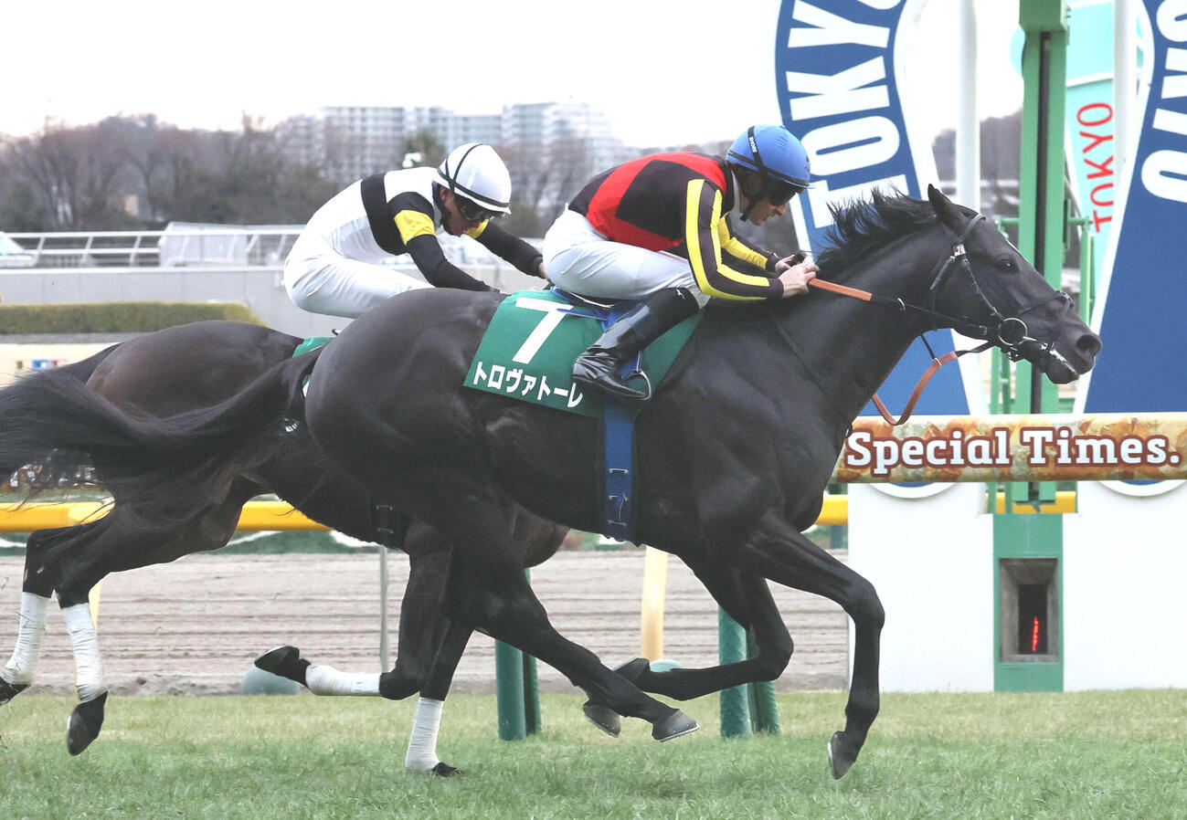東京新聞杯を制したトロヴァトーレ