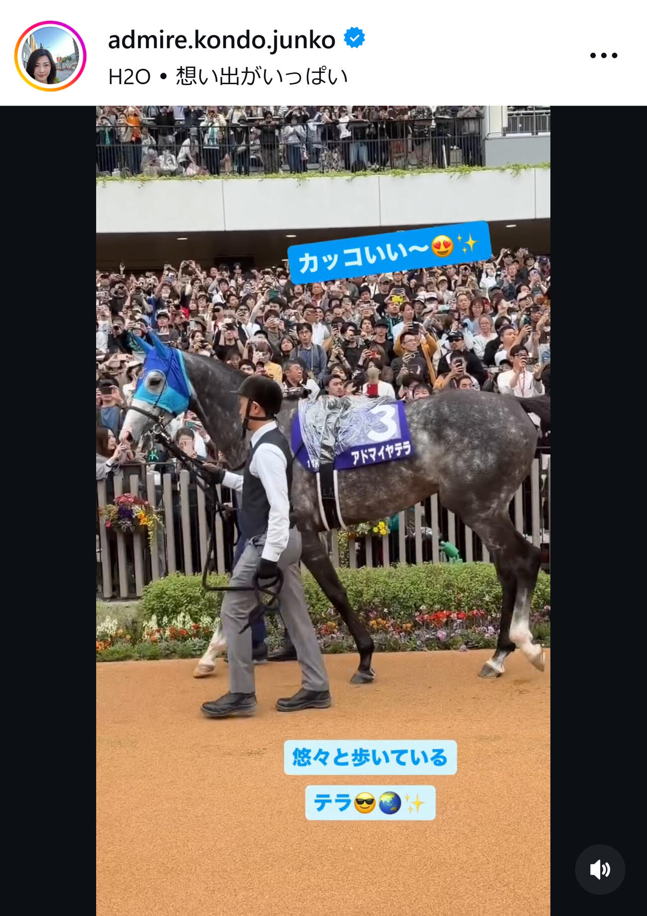 アドマイヤ近藤旬子オーナーのインスタグラムから