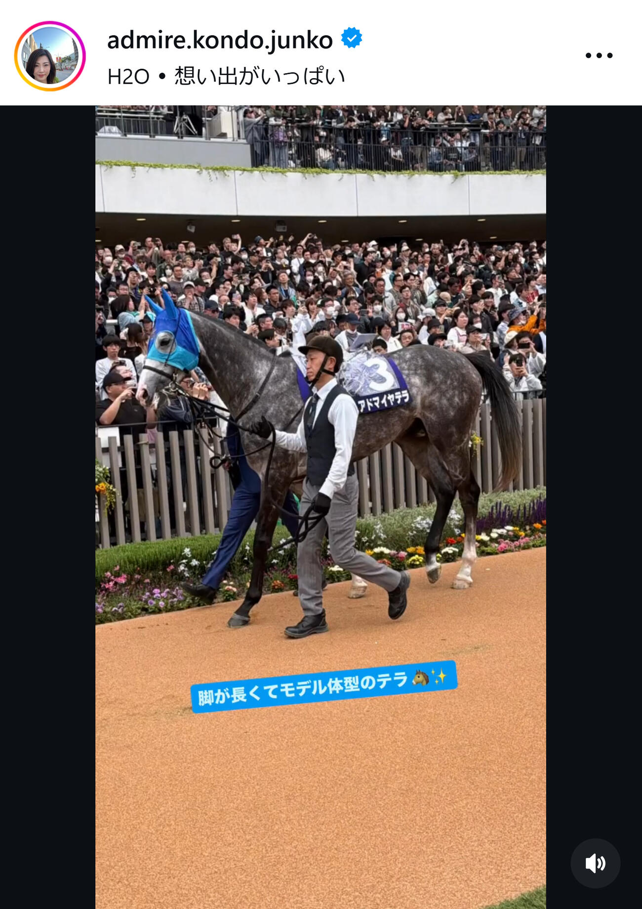 アドマイヤ近藤旬子オーナーのインスタグラムから