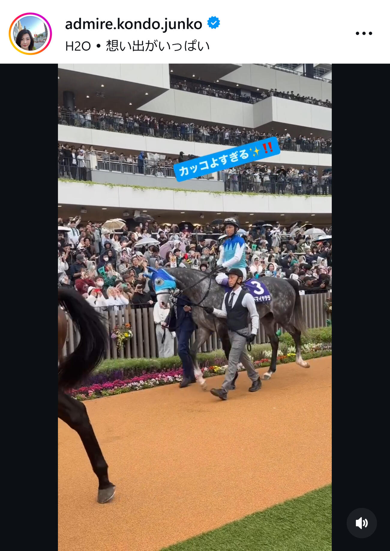アドマイヤ近藤旬子オーナーのインスタグラムから