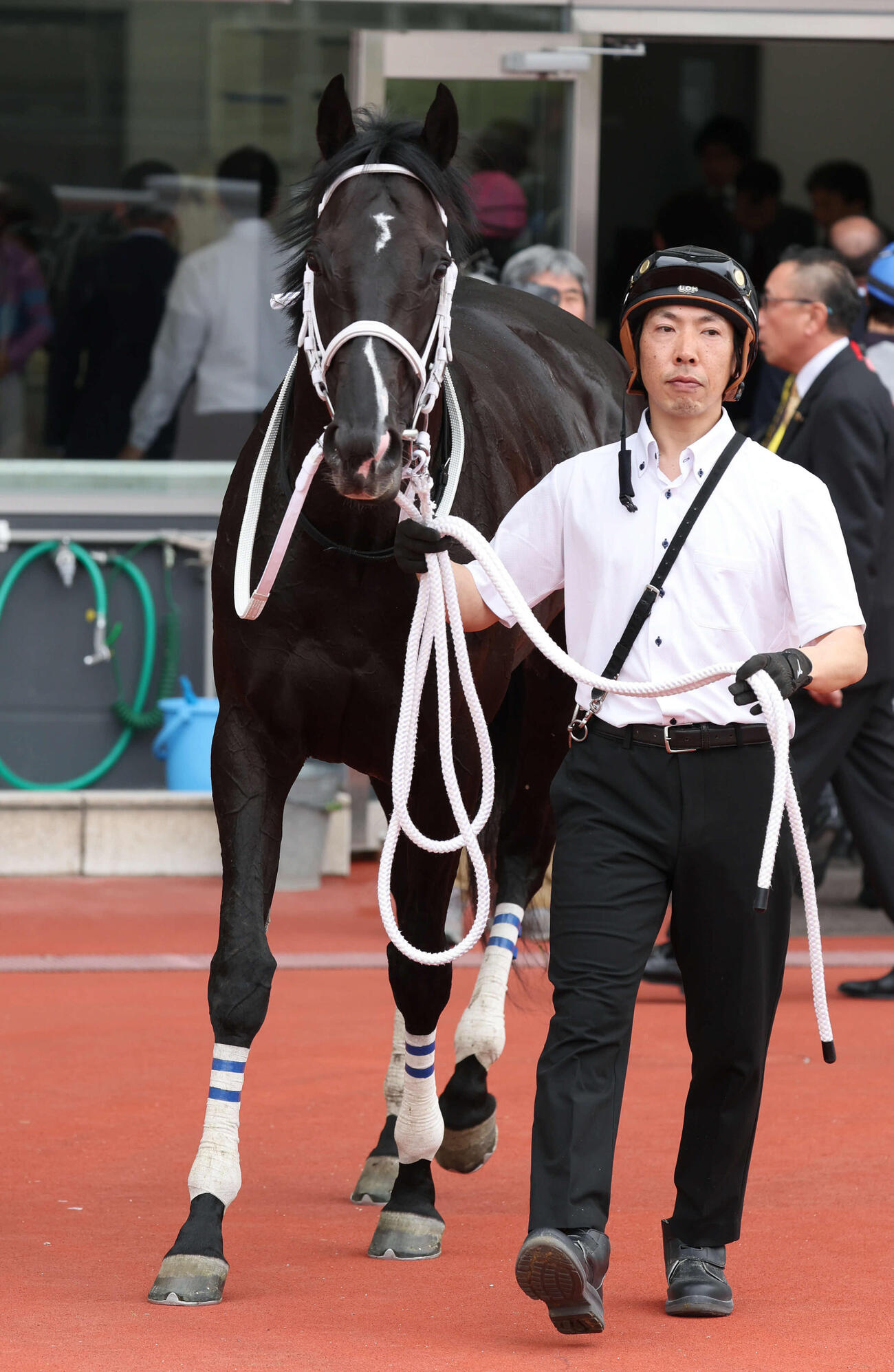 御堂筋Sを制したギャンブルルーム（26年3月撮影）