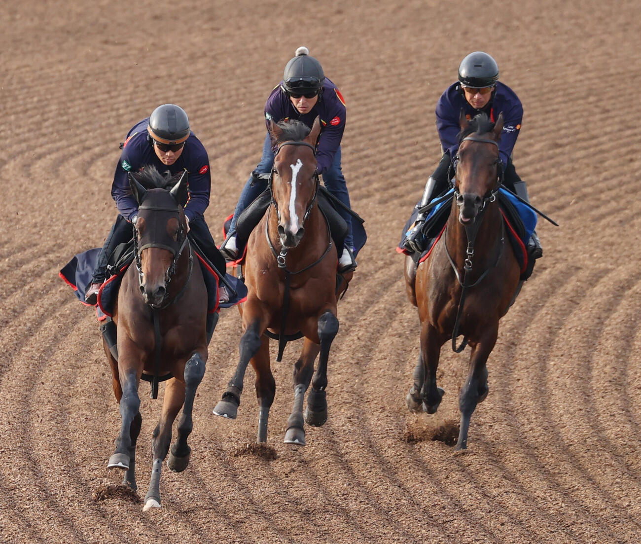 サンダーストラック（中央）はアンパドゥ（左）、ヴァロアークと併せて追い切る（撮影・柴田隆二）