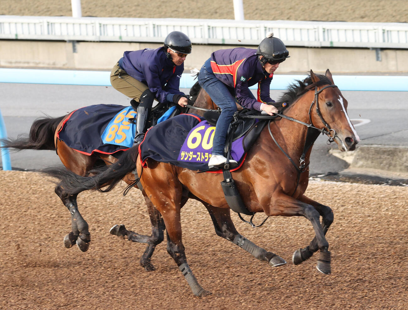 サンダーストラック（右）はアンパドゥと併せて追い切る（撮影・柴田隆二）
