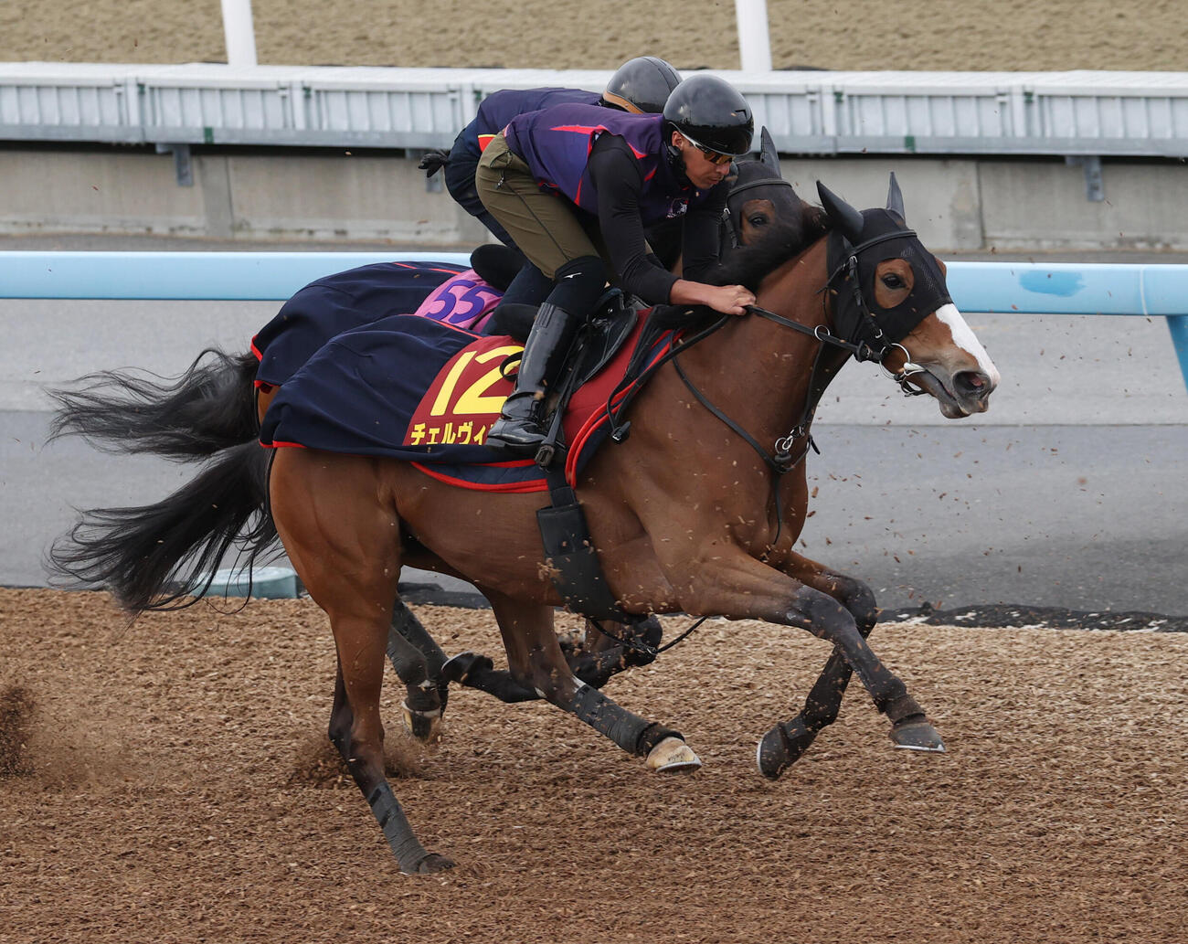 チェルヴィニア(右)はマジックパレスと合わせ追い切る（撮影・柴田隆二）