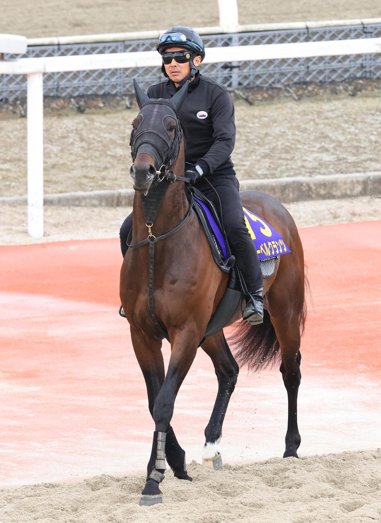 6日、Eコースに馬場入りするローベルクランツ