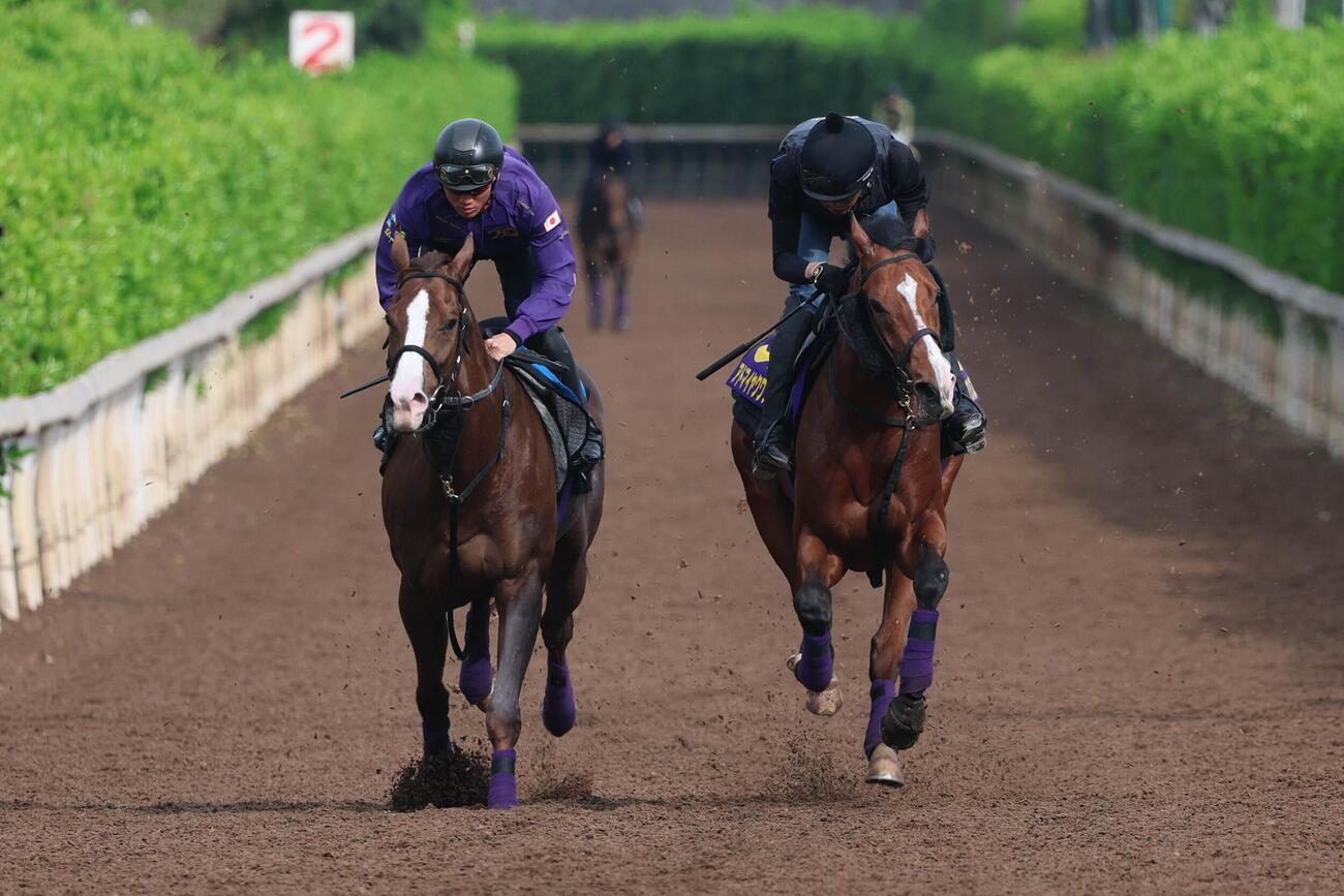 6日、坂路でベルトス（左）と併せたアドマイヤクワッズ。