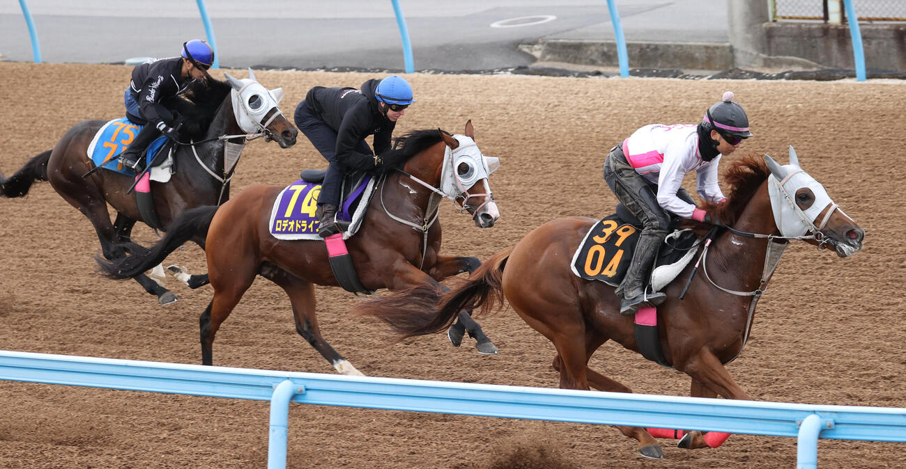 6日、ロデオドライブ(中央)はハイテイラオユエ(右)、ブランフォルテと併せて追い切る