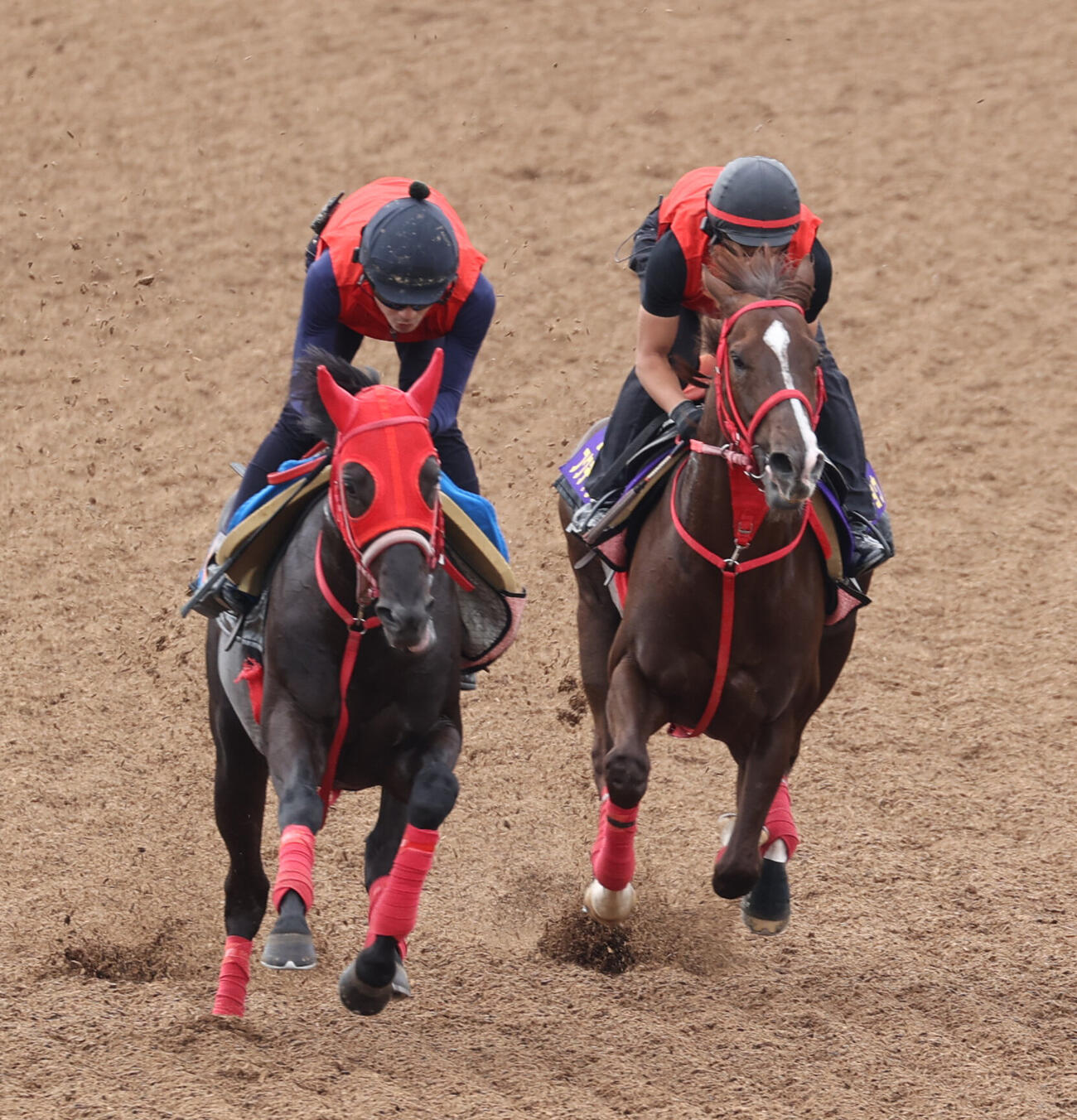 6日、フクチャンショウ(右)はキミハスコールと併せて追い切る