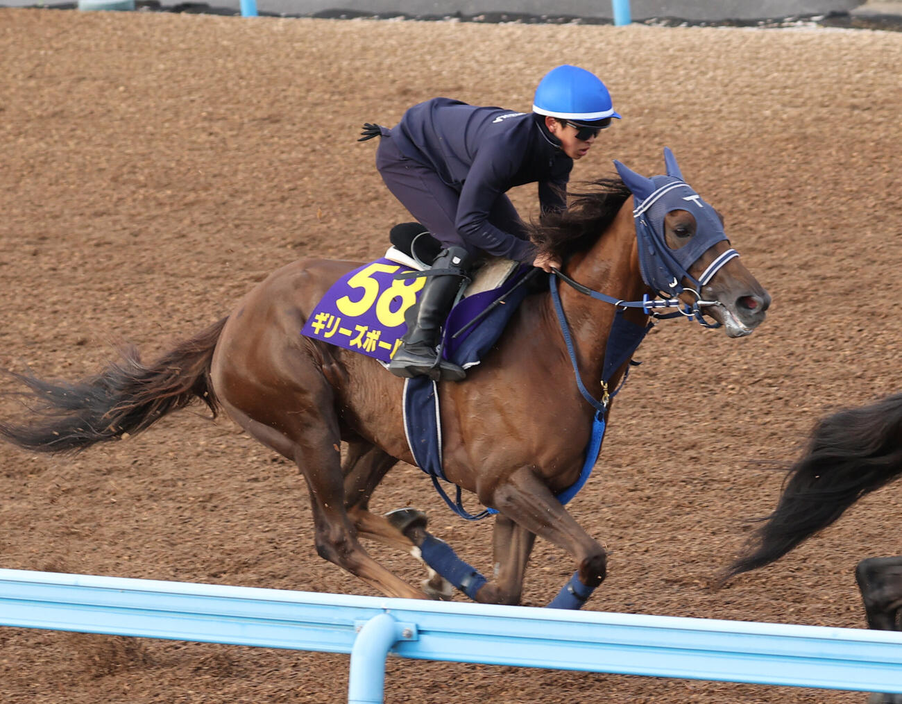 ウッドで3頭併せで追い切るギリーズボール（撮影・柴田隆二）